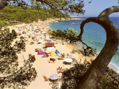 Camping International de Calonge - Camping Girona - Image N°2