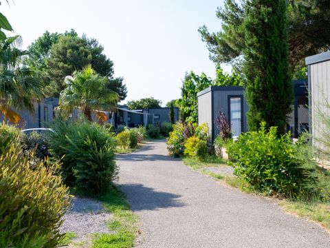 Domaine Les Mûriers - Camping Hérault - Image N°3