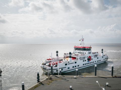 Landal Ameland State - Camping Ameland - Image N°3