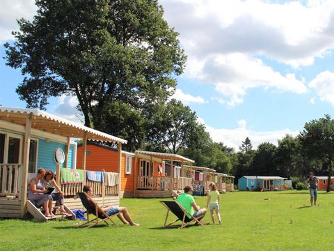 Molecaten Park Kuierpad - Camping Coevorden - Image N°4