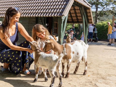 Center Parcs Bispinger Heide - Camping Lower Saxony