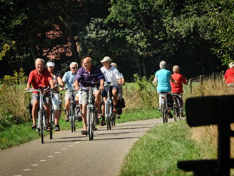 Buitenplaats Gerner - Camping Dalfsen - Image N°0