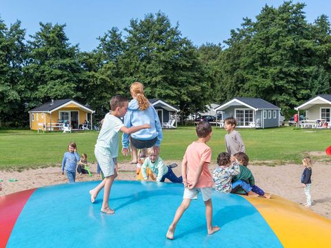 Molecaten Park Waterbos - Camping Westvoorne - Image N°2