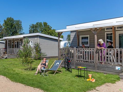 Molecaten Park Rondeweibos - Camping Westvoorne - Image N°2