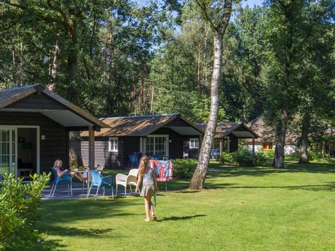 Molecaten Park De Leemkule - Camping Hattem - Image N°2