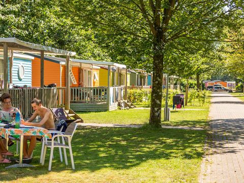 Molecaten Park Bosbad Hoeven - Camping Halderberge