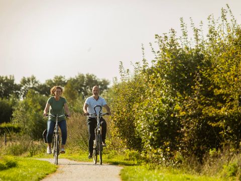 Landal Orveltermarke - Camping Midden-Drenthe - Image N°2