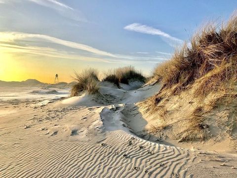 Parc Koudenburg - Camping Ameland - Image N°4