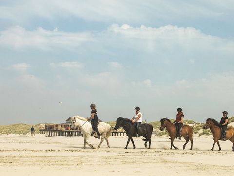 Landal Schuttersbos - Camping Terschelling - Image N°5