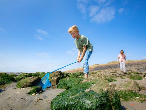 Landal West Terschelling - Camping Terschelling - Image N°0