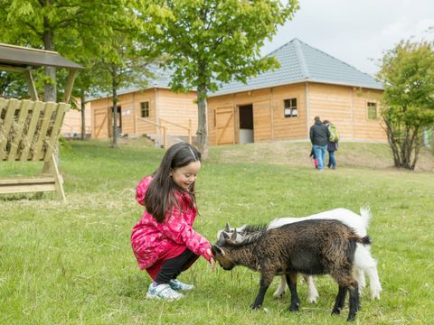 Center Parcs Park Hochsauerland - Camping North Rhine-Westphalia - Image N°2