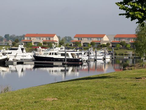 Maaspark Boschmolenplas - Camping Maasgouw - Image N°3