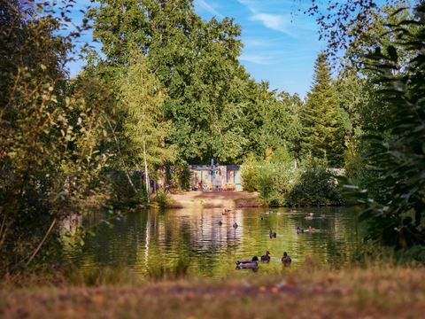 Center Parcs Park Nordseeküste - Camping Lower Saxony - Image N°2