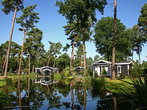 Bospark Markelo - Camping Hof von Twente - Image N°0