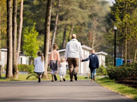 TopParken Recreatiepark Beekbergen - Camping Apeldoorn