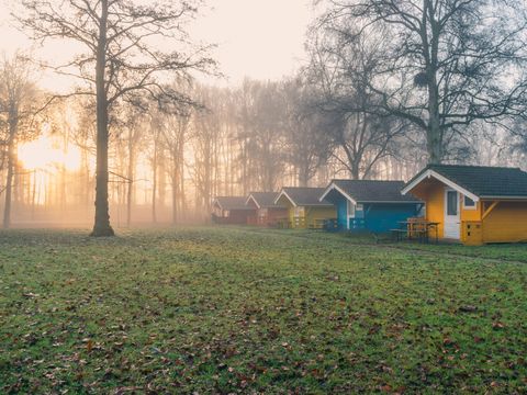 EuroParcs Het Amsterdamse Bos - Camping Amsterdam - Image N°5