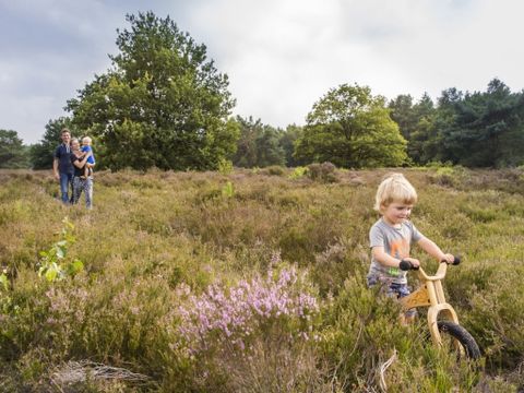 Landal Drentse Lagune - Camping Midden-Drenthe - Image N°2