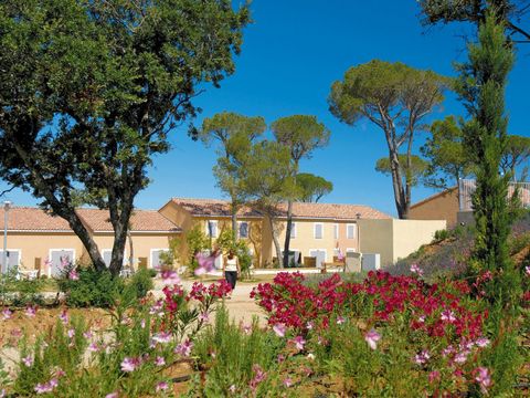 Residence Le Mas des Vignes - Camping Gard - Image N°0