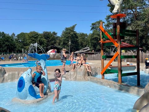 Vakantiepark Hertenhorst - Camping Apeldoorn - Image N°0