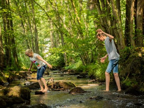 Landal Nature Parc Saint Hubert - Camping Luxembourg - Image N°0