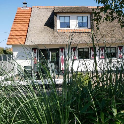 HOUSE 6 people - Buitenplaats 58