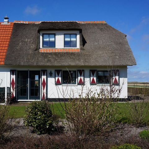 HOUSE 6 people - Buitenplaats 150