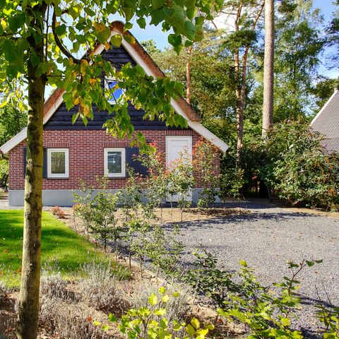 HOUSE 6 people - Villa Veluwe