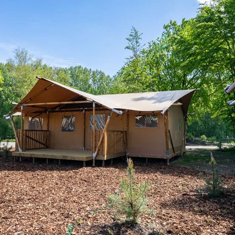 TENT 6 people - Glamping tent 6